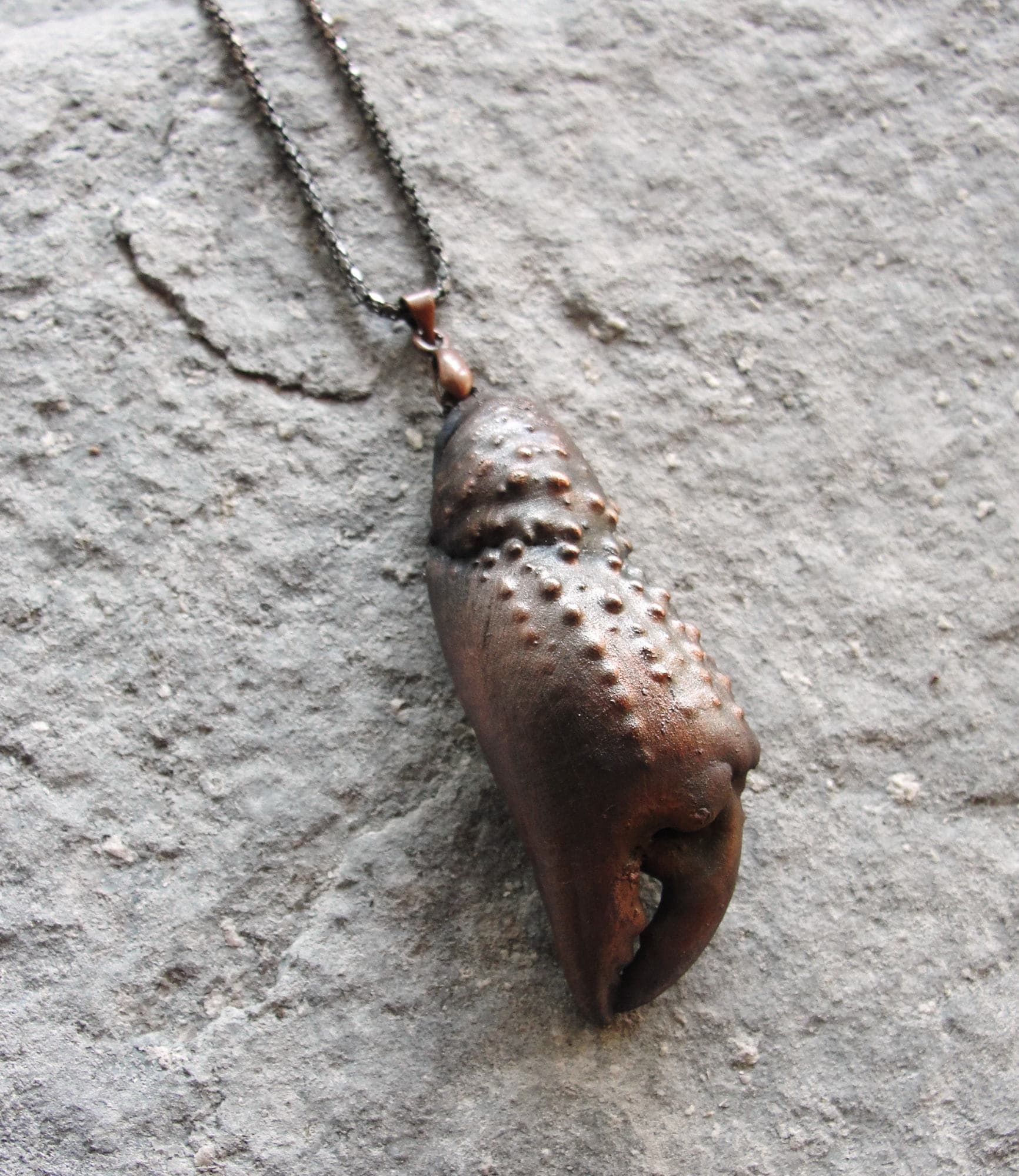 CRAB CLAW | necklace | Jennifer Kinnear Jewellery