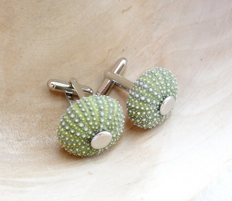 Sea Urchin Cufflinks Green, Sea lover, Sailor, Captain Cuff links image 3