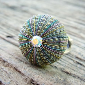 Anillo de erizo de mar - Sterling Silver Multicolor Jewelry