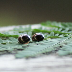 Smokey Quartz Stud Earrings Sterling silver studs Dark Brown Quartz Semi Precious Stone image 3