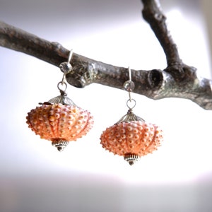 Sea Urchin Earrings - Special Dainty Pink Earrings