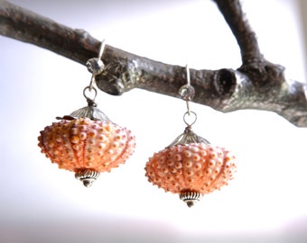 Sea Urchin Earrings - Special Dainty Pink Earrings