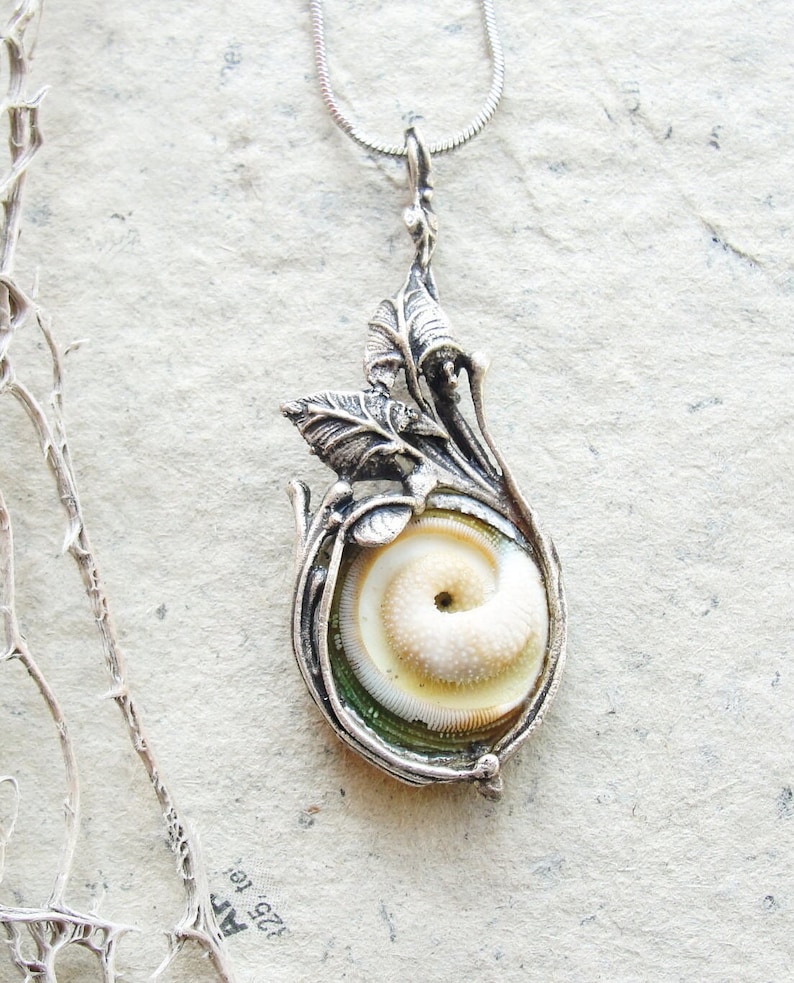 Sea Treasure Collection Eye of Shiva Shell Necklace image 1