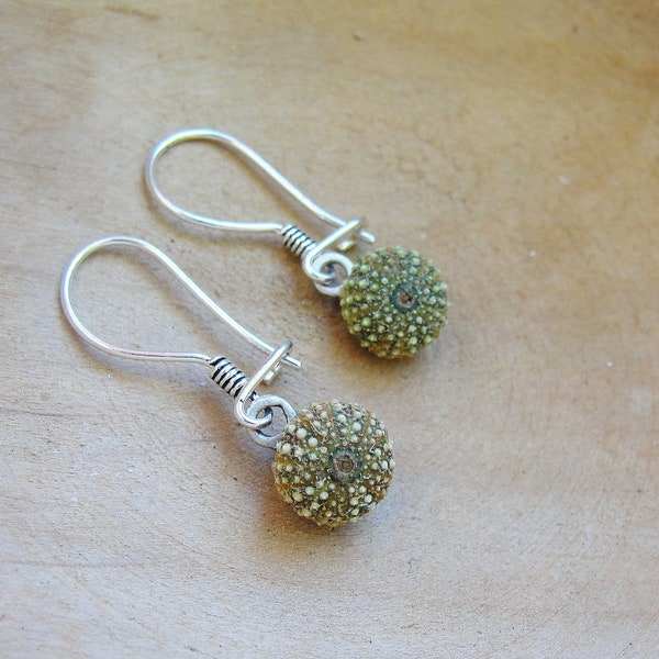 Mini Green Sea Urchin Earrings Sterling silver