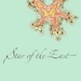 Propietario de <a href='https://www.etsy.com/mx/shop/StaroftheEast?ref=l2-about-shopname&from_page=listing' class='wt-text-link'>StaroftheEast</a>