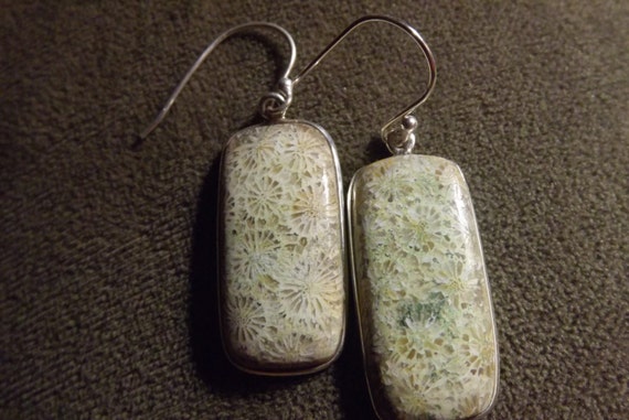 Large Genuine Large Fossil Coral Earrings, Natura… - image 4