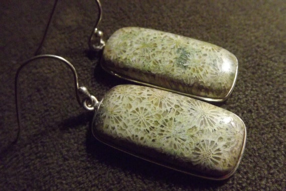 Large Genuine Large Fossil Coral Earrings, Natura… - image 2