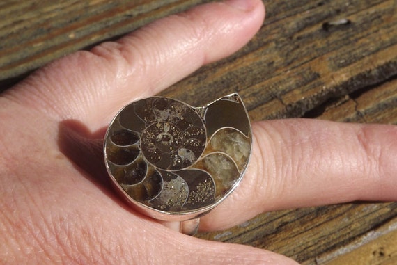 Rare Fossil Ammonite Shell sterling silver ring- … - image 3