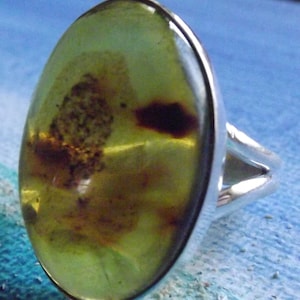 Columbia Green Amber ring - sterling silver - handmade - green amber- size 8.5
