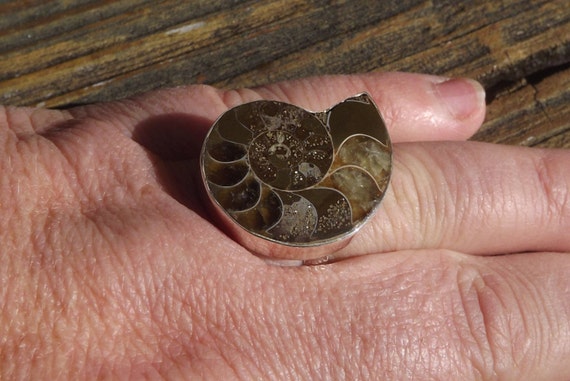 Rare Fossil Ammonite Shell sterling silver ring- … - image 4