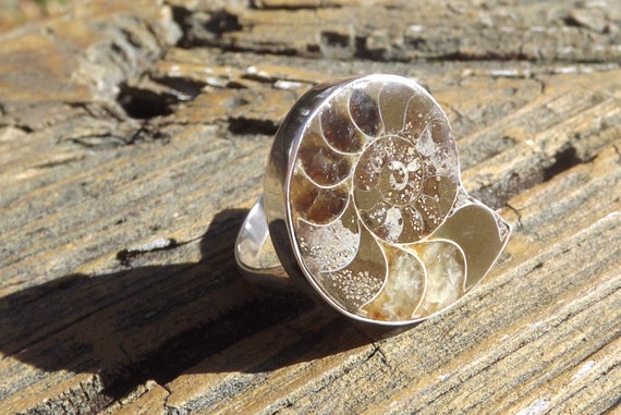 Rare Fossil Ammonite Shell sterling silver ring- … - image 2