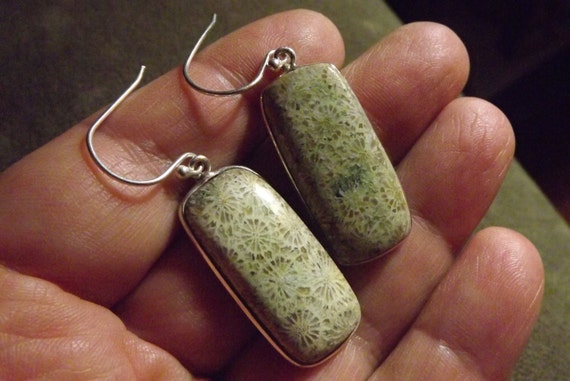 Large Genuine Large Fossil Coral Earrings, Natura… - image 5