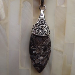 Turitella Jasper Sterling Silver Pendant