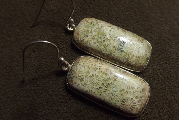 Large Genuine Large Fossil Coral Earrings, Natura… - image 3