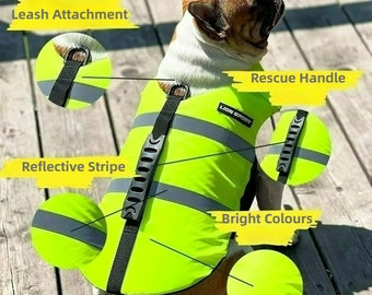 Rescue vest for pet