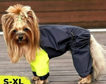 De "Spring" unisex regenjas van kleine en middelgrote honden geel