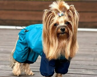 De "Spring" unisex regenjas van kleine en middelgrote honden blauw