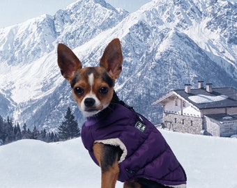 Comfortable waistcoat with fur lining is suitable for walking dogs in cold, rainy and windy weather.