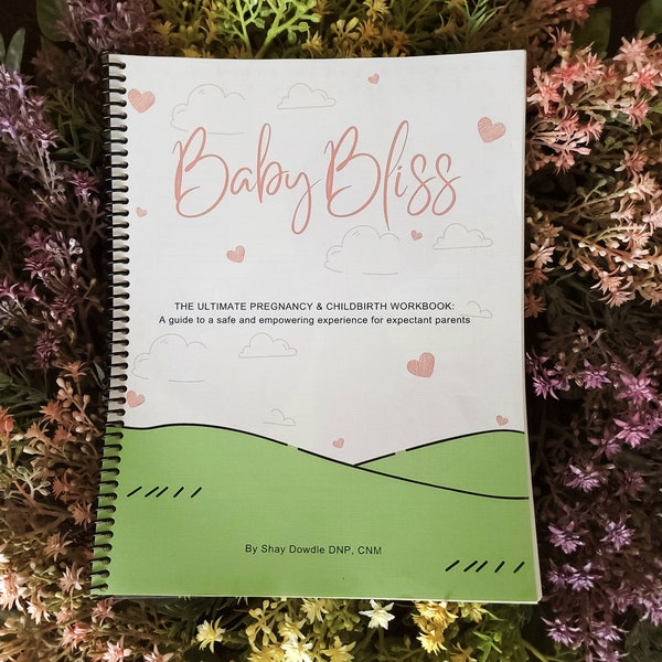 Baby Bliss- The Ultimate Pregnancy & Childbirth Workbook: A Guide to a Safe and Empowering Experience for Expectant Parents