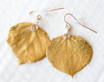 Gold Aspen Leaf Earrings, Nature Earrings, Bridesmaid Jewelry