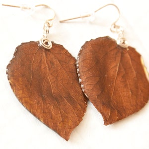 Brown Aspen Leaf Earrings, Bridesmaid Jewelry, Nature Earrings image 2