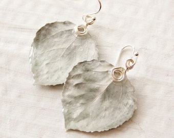 Platinum Silver Aspen Leaf Earrings, Nature Earrings, Bridesmaid Jewelry