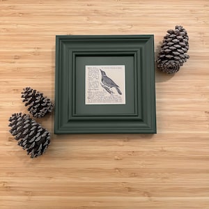 Custom Wood Framed Dictionary Prints: Flicker, Ready To Hang, Available As A Set Of Three - Addax, Flicker & Lion