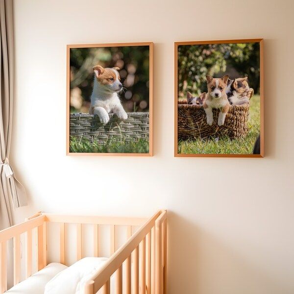 Corgi puppies, nursery decor, baby room prints, photographs, cute wall art, instant download, baby dogs, puppy, corgis, photo, decoration