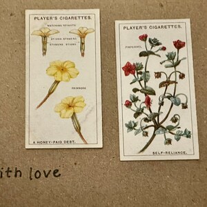 Cartões comemorativos "Vintage Cigarette Card" feitos à mão (botânicos)