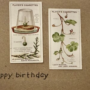 Cartões comemorativos "Vintage Cigarette Card" feitos à mão (botânicos)