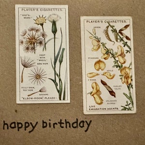 Cartões comemorativos "Vintage Cigarette Card" feitos à mão (botânicos)