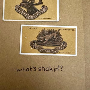 Cartões de felicitações artesanais "Vintage Cigarette Card" (Brasão de armas)