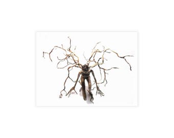 Artistic Tree Spirit Postcard Set, Nature Lover Stationery