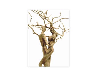 Artistic Postcard Bundle - Tree Embrace Design, Nature Inspired Stationery, Unique Greeting Cards, Eco-Friendly Cards, Handmade Gifts
