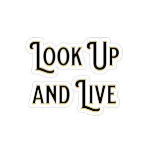Lineman Sticker, Hard Hat Sticker, Blue Collar Sticker, Look Up and Live