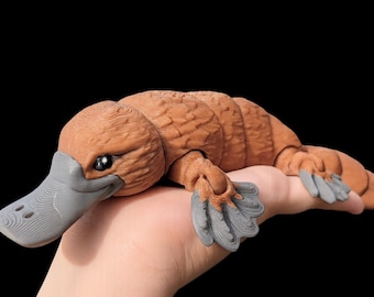 Large Platypus