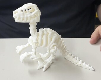 Raptor Large Fidget