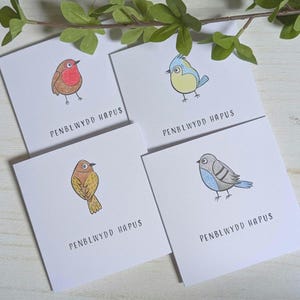 Puede incluir: Cuatro tarjetas de felicitación cuadradas con ilustraciones de pájaros de varios colores. Cada tarjeta tiene un diseño de pájaro diferente y el texto "PENBLWYDD HAPUS" impreso en negro. Hojas verdes en el fondo.