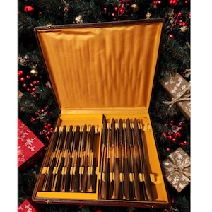 Set of 10 Apollonox table knives and 12 stainless steel cheese knives