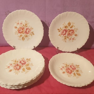 10 flat plates 2 Arcopal vintage soup plates floral decoration serrated edge