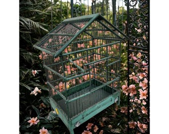 Gabbia per uccelli vintage, ideale come decorazione per la veranda o la cucina.