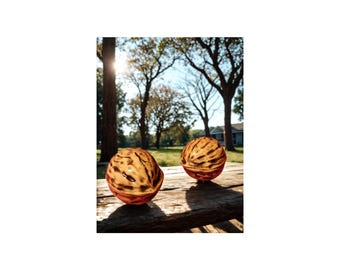 Pair of walnut-shaped porcelain boxes FM Limoges France hand-decorated Quality label