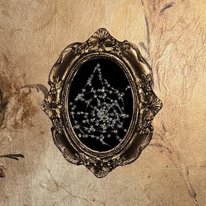 Victorian Gothic Framed Embroidered Beaded Dew Drop Spiderweb on Velvet