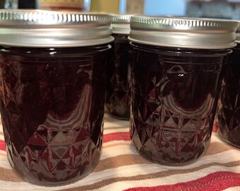 Organic Blueberry Jam SUGAR FREE