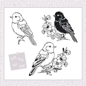 秋の SVG、花を持つクロウタドリ - 枝に止まる鳥 - 秋のプロッター ファイル、プロット クラフト用 - Cricut Silhouette と互換性あり
