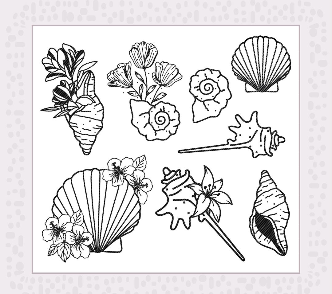 Shells Svg, Maritime Plotter Svg Files Bundle 