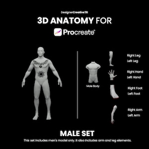 Procreate 3D Models, 3D Male model, 3D arm model, 3D leg model, 3D torso, Procreate 3D human body, Model tattoo, Tattoo mockup, 3D man