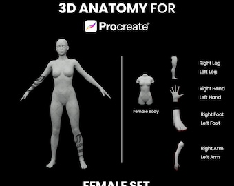 Procreate 3D Models, 3D Female model, 3D arm model, 3D leg model, 3D torso, Procreate 3D human body, Model tattoo, Tattoo mockup, 3D woman