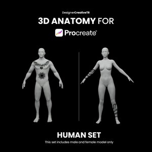 Procreate 3D Models Bundle, 3D Man model, 3D Male Model, 3D Tattoo Procreate, 3D torso, Procreate 3D human body, Model tattoo, Tattoo mockup