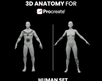 Procreate 3D Human Model Bundle: Male & Female Anatomy (Digital Download)